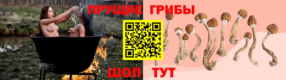 Псилоцибиновые грибы мицелий  Псилоцибиновые грибы MAGIC MUSHROOMS  Жигулёвск  Вход с VPN 