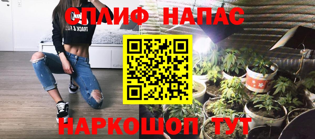 Бошки марихуана семена Жигулёвск